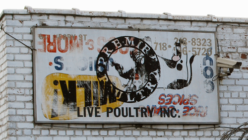 Greenpoint Poultry