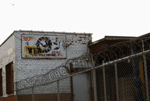 Greenpoint Poultry