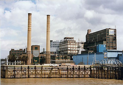 Domino Sugar