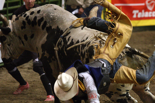 Casper Rodeo - Bob Kisken