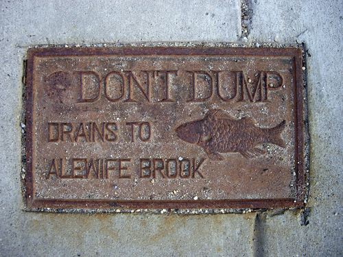 Don't Dump - Drains to Aiewife Brook