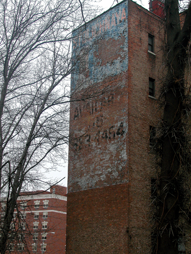 Stolichnaya - Bronx