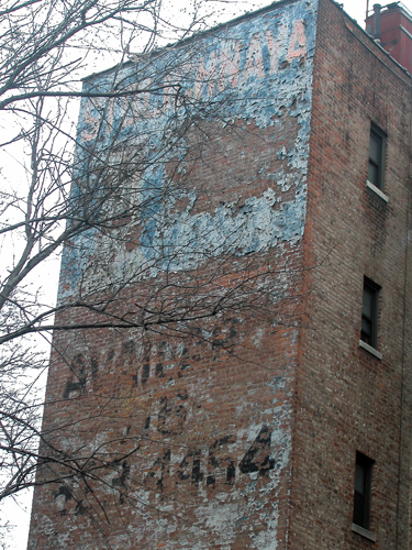 Bronx Stolichnaya