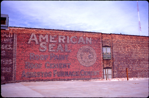 American Seal