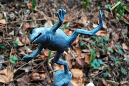 Frog