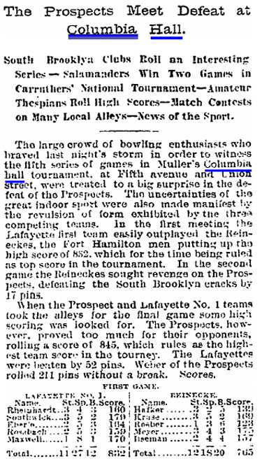 Brooklyn Daily Eagle, BPL Database