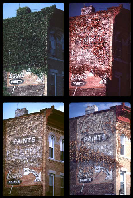 Eaglo Paint Quadripartite