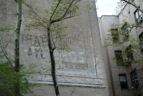 Wilson Overlooking Ocean Pkwy Playground