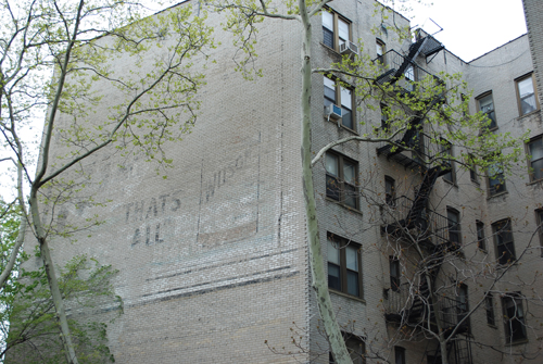 Wilson Overlooking Ocean Pkwy Playground