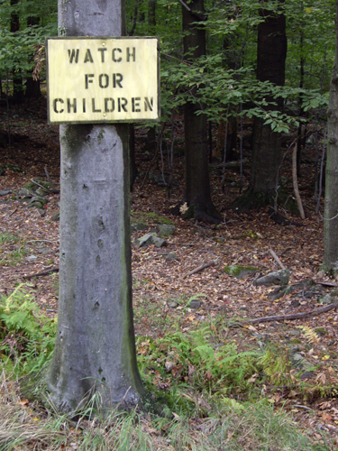 Watch For Children - Newfoundland, PA