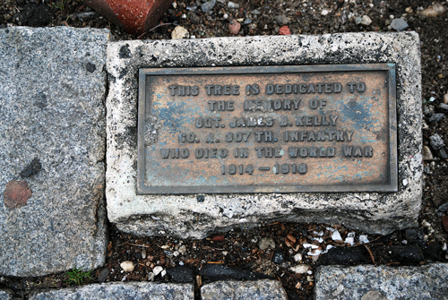 Windsor Terrace WWI Tree Dedications