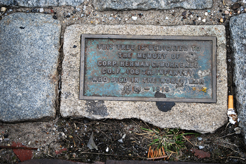 Windsor Terrace WWI Tree Dedications