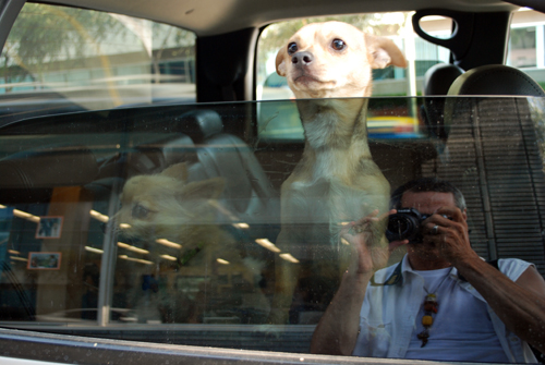 Santa Monica Blvd. © Frank H. Jump