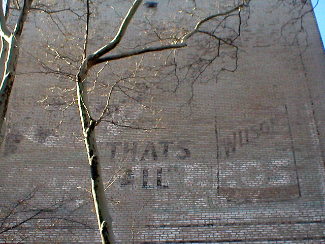 Pigeon Lady Fading Ad 