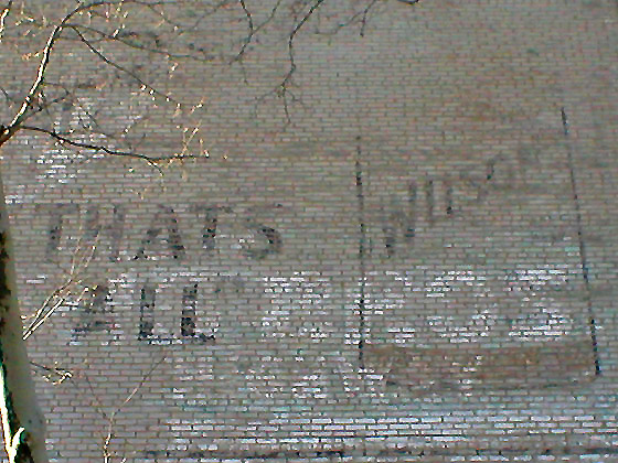 Pigeon Lady Fading Ad 