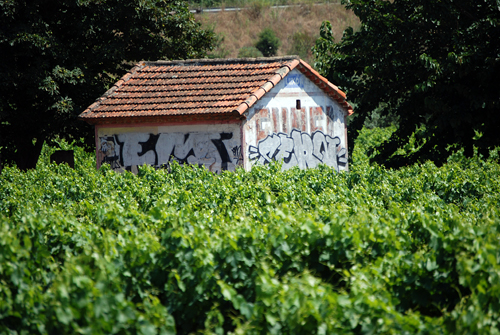 Provence Funel Shack - © Frank H. Jump