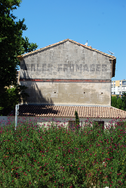 Arles Fromage - Trinquetaile, France © Frank H. Jump