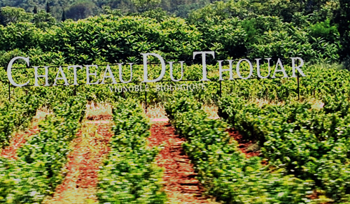 Chateau Thouar - Vignoble Biologique - © Frank H. Jump