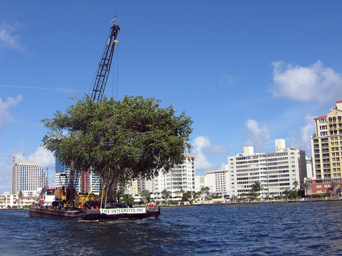 Following A Cypress Down the Intercoastal - Ft Lauderdale, FL