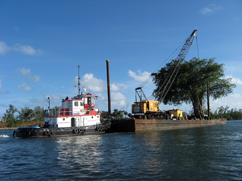 Following A Cypress Down the Intercoastal - Ft Lauderdale, FL