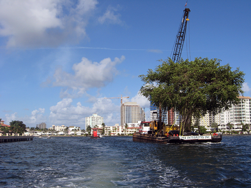 Following A Cypress Down the Intercoastal - Ft Lauderdale, FL