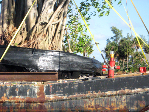 Following A Cypress Down the Intercoastal - Ft Lauderdale, FL