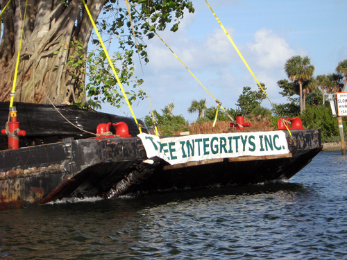 Following A Cypress Down the Intercoastal - Ft Lauderdale, FL