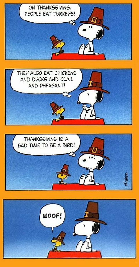Charles Schulz, Peanuts