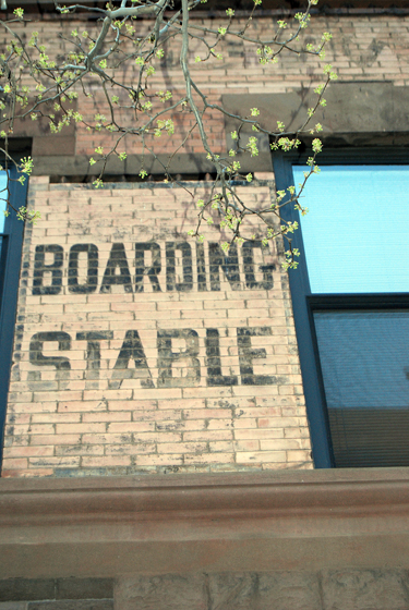 Horse Boarding