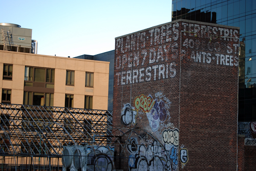 Terrestris - 59th Street Bridge - Manhattan - © Frank H. Jump