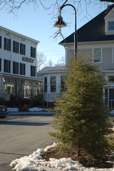 Hotel Fauchére - Milford, PA