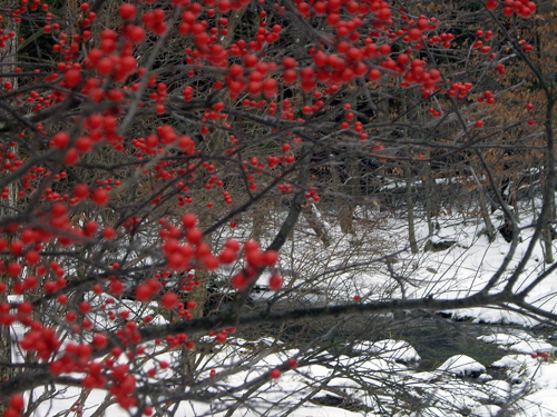 Happy Winter Solstice - Pocono Springs, Newfoundland PA