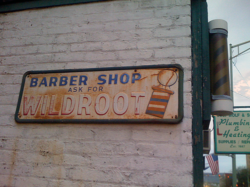 Wildroot - Scranton, PA