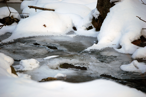 Deer Brook Babble