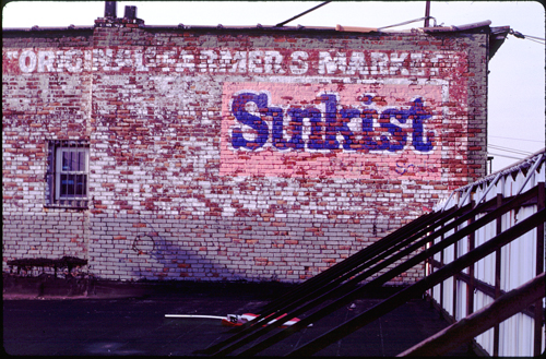 Sunkist -Original Farmer's Market - Bensonhurst, Brooklyn