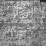 tribeca_olive_mural_close-bw-sm