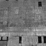tribeca_olive_wall_bw-sm